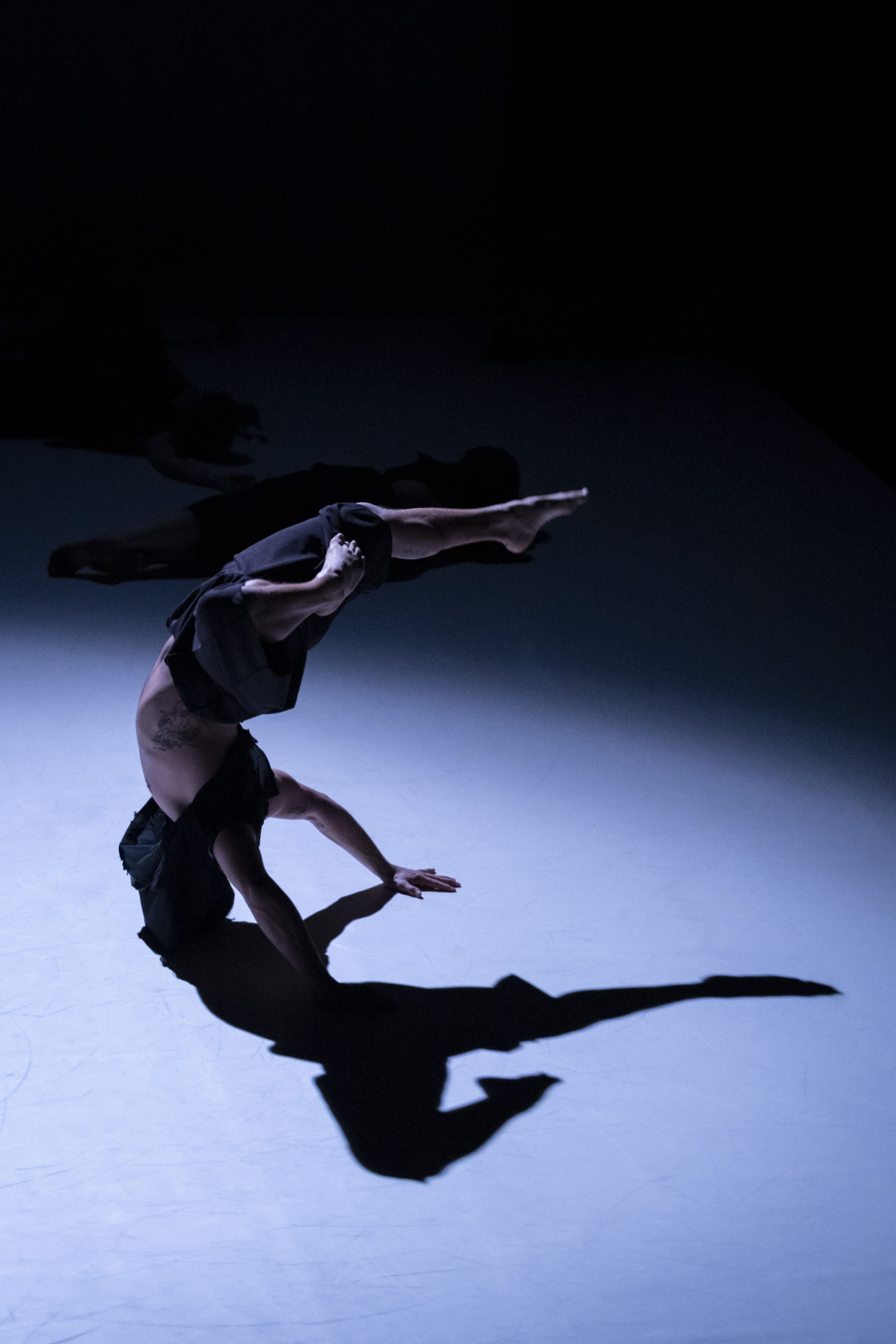 © Yuri Pires Tavares 