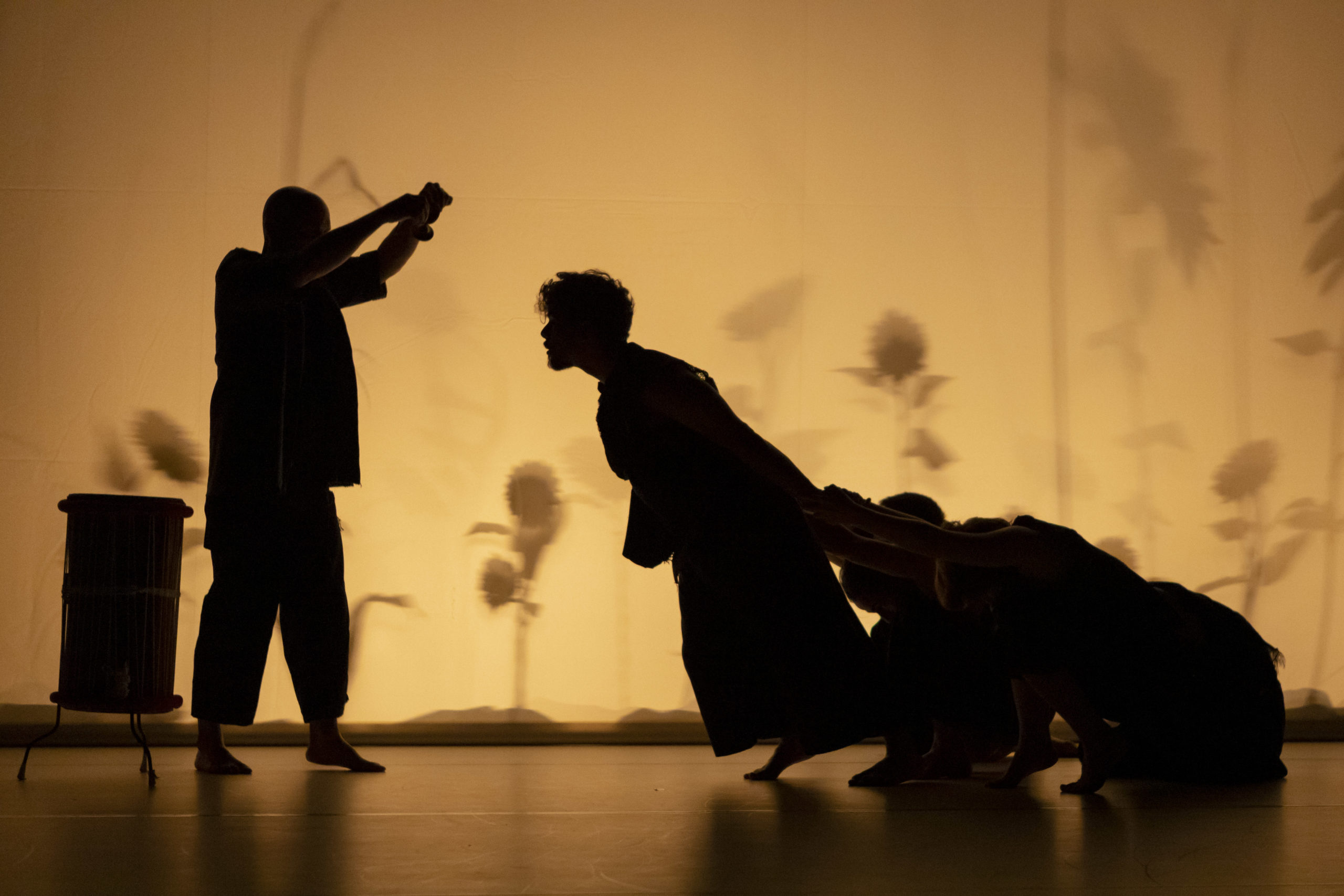 © Yuri Pires Tavares 