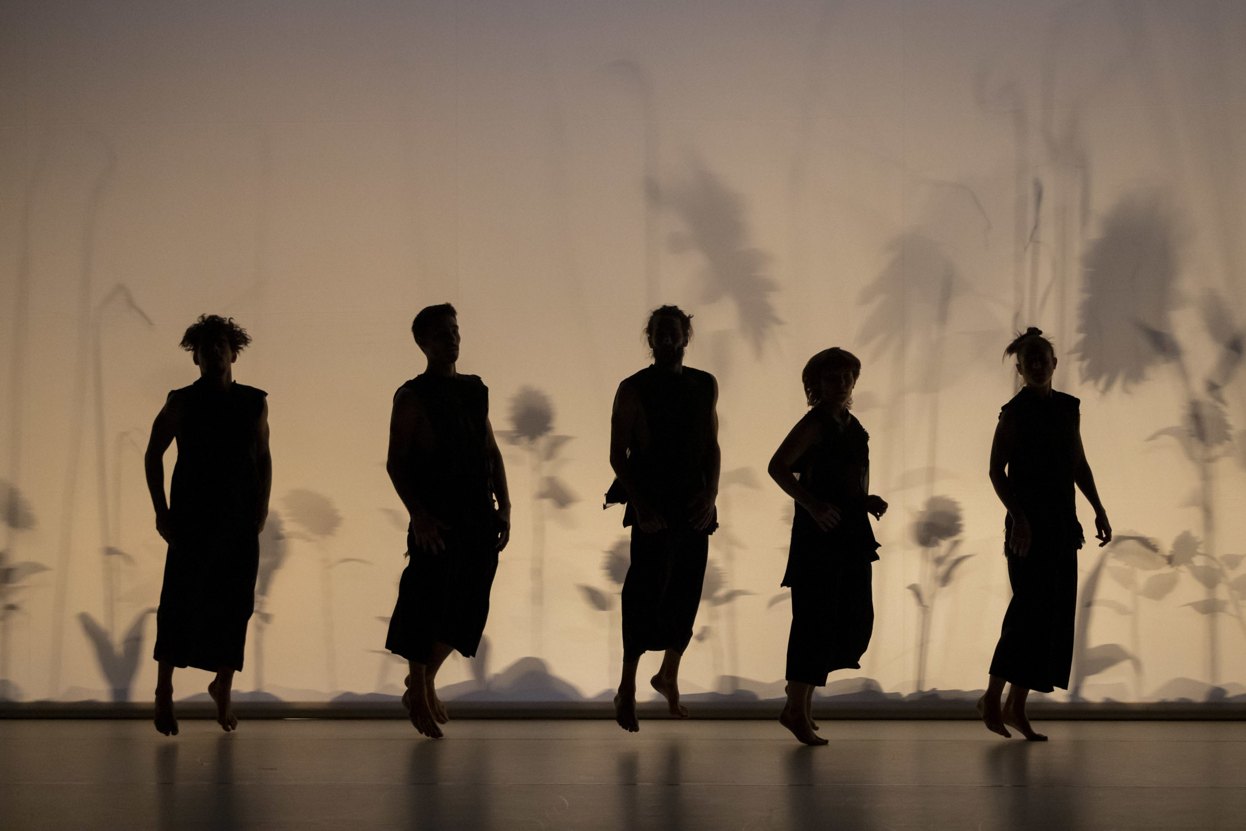 © Yuri Pires Tavares 